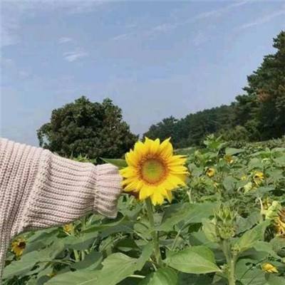 战地风暴龙渊客户端下载
